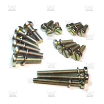 Complete screw kit set for Weber 32/36 38/38 DG/DGV/DGAV/DGEV EMPI with washers